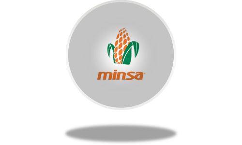 Minsa