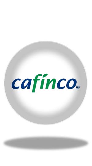 Cafinco